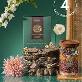 Ethereal Garden - Rejuvenation & Relaxation