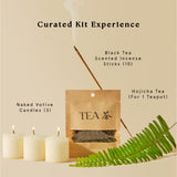 Ancient Forest - Mindfulness & Restoration