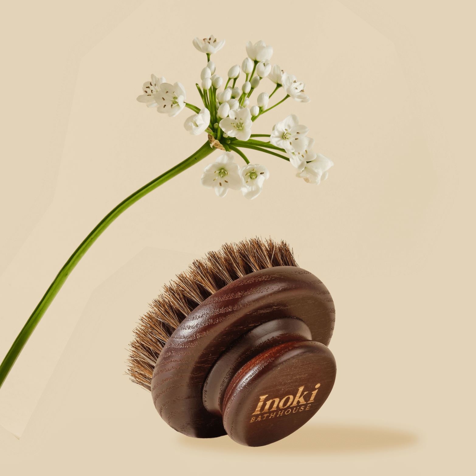 2025 Accessories Collection