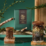 Ancient Forest - Mindfulness & Restoration