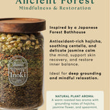 Ancient Forest - Mindfulness & Restoration