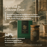 Ancient Forest - Mindfulness & Restoration