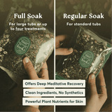Ancient Forest - Mindfulness & Restoration