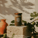 Ancient Forest - Mindfulness & Restoration