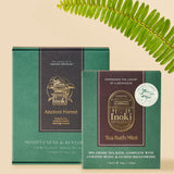 Ancient Forest - Mindfulness & Restoration