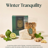 Winter Tranquility