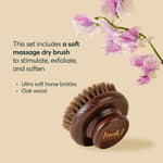 Soft massage dry brush with horse bristles and oak wood